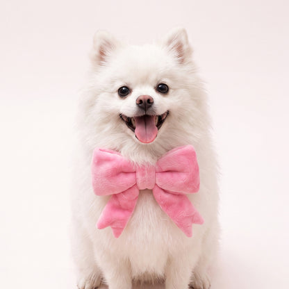 The Bow (Pink) - Pet Bib