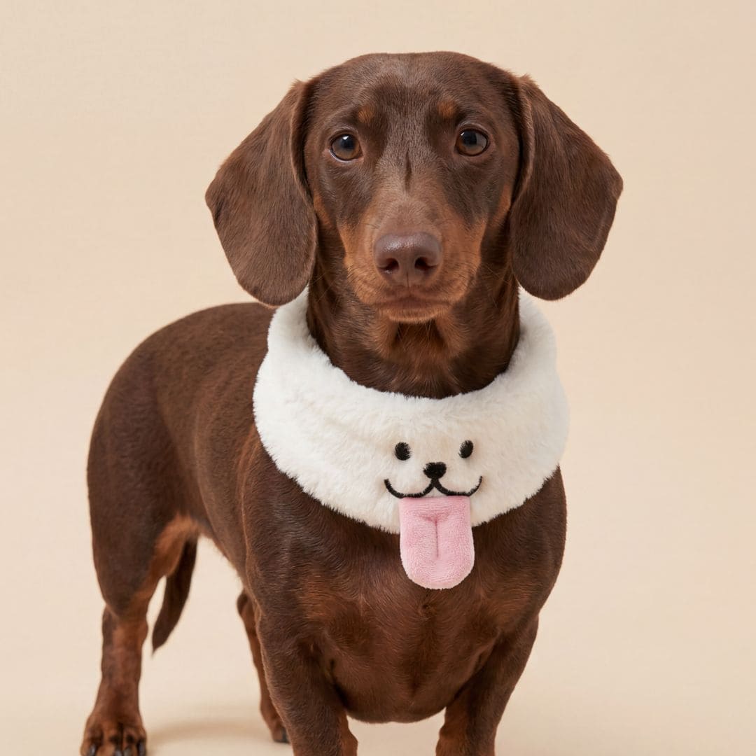 Pet Bib - Puppy Kiss (Cream)
