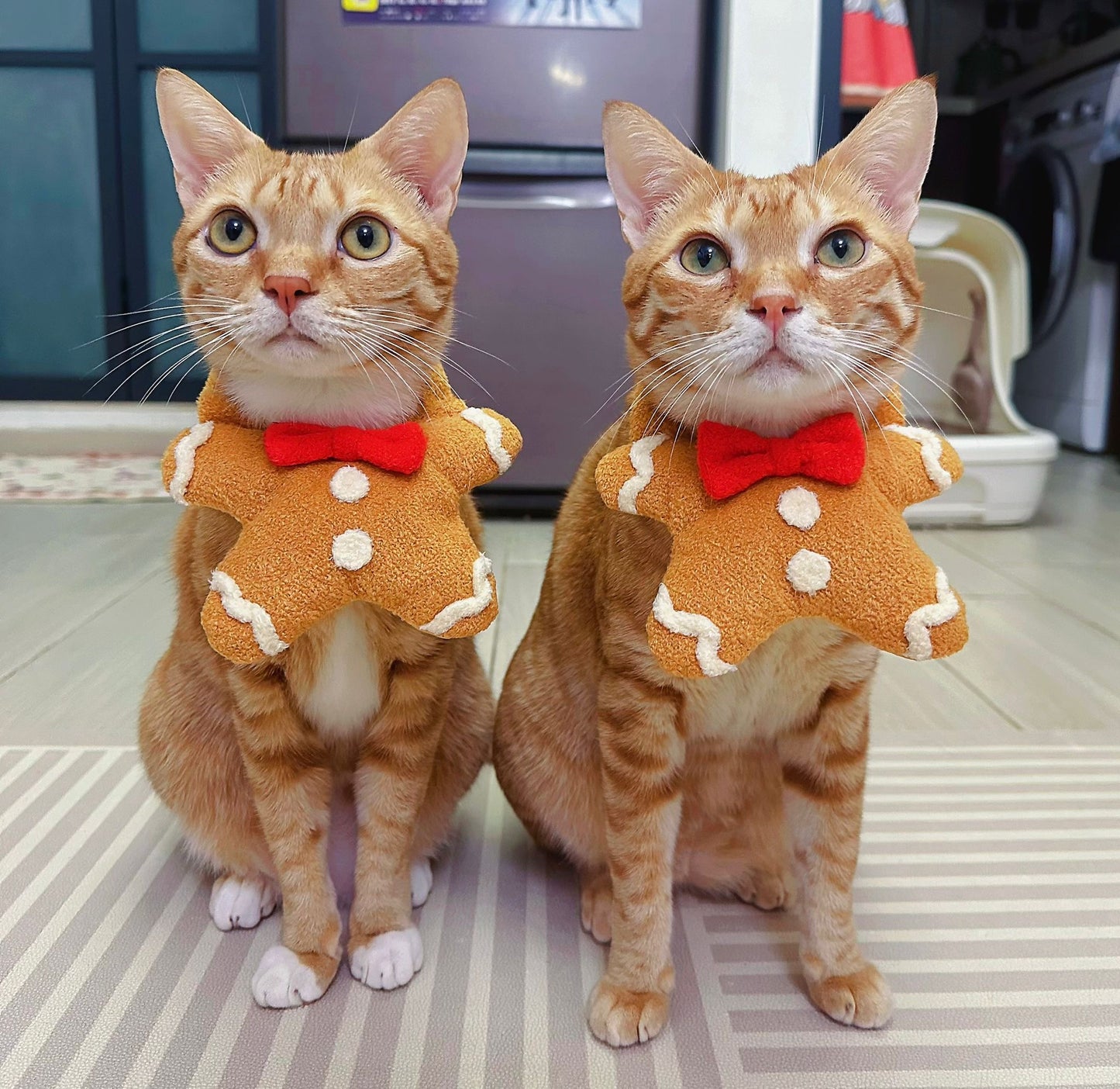 Gingerbread Man - Pet Bib