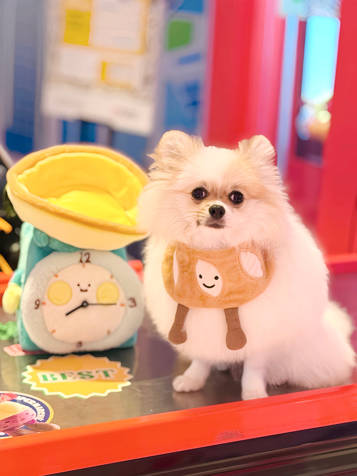 Baguette - Pet Bib