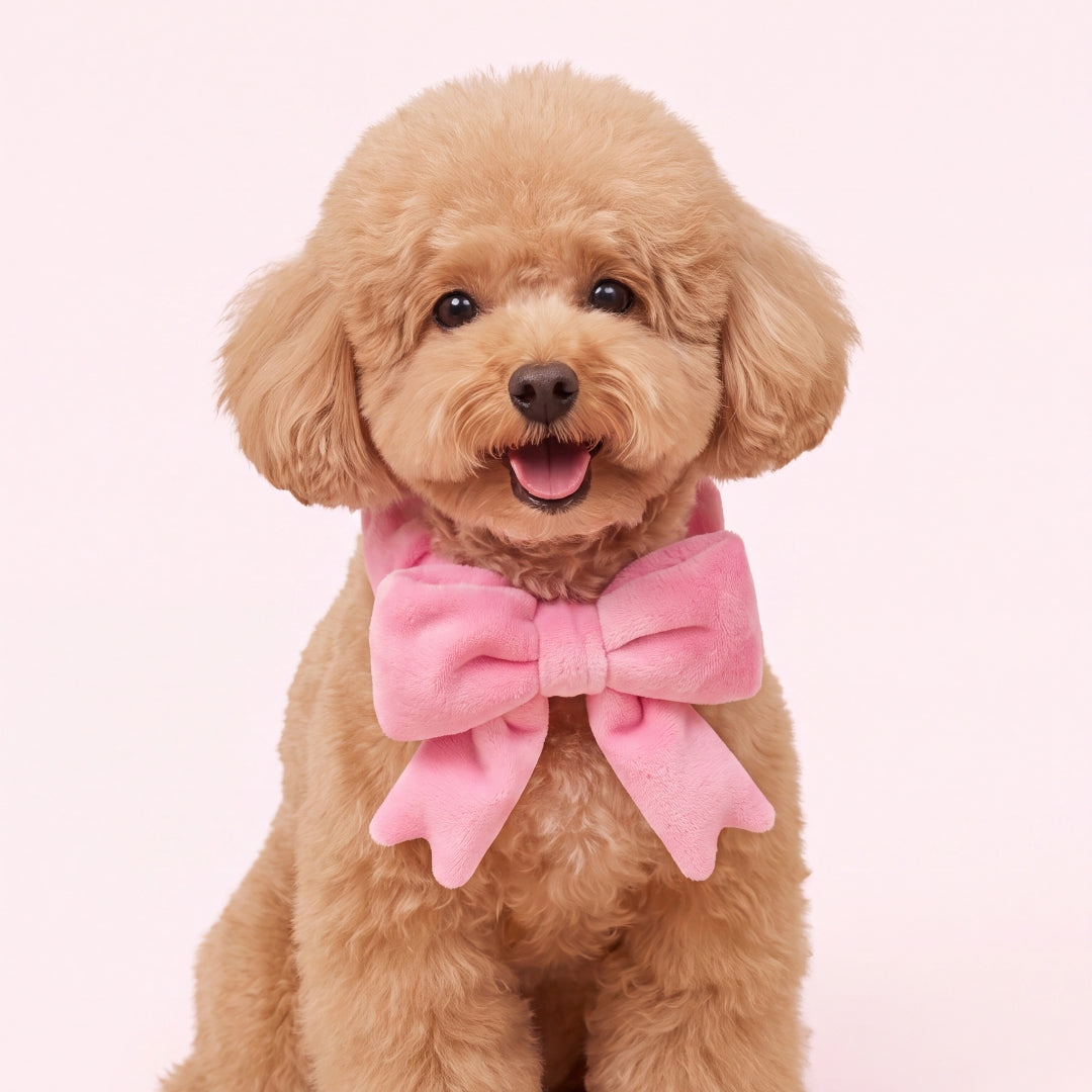 The Bow (Pink) - Pet Bib