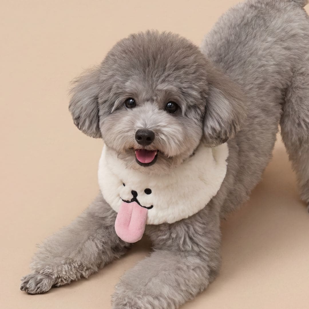 Pet Bib - Puppy Kiss (Cream)
