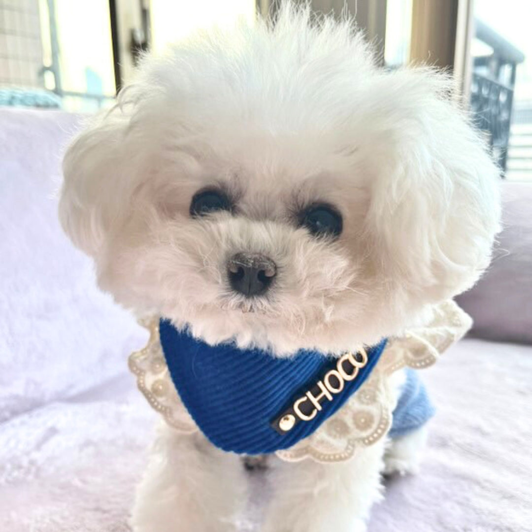 Custom Pet Bandana - Blue Infinity