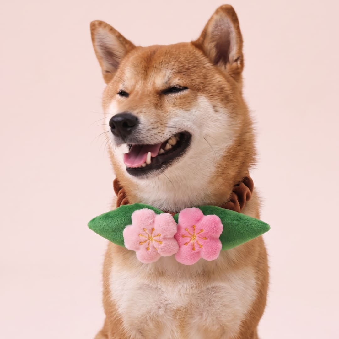 Sakura - Pet Bib
