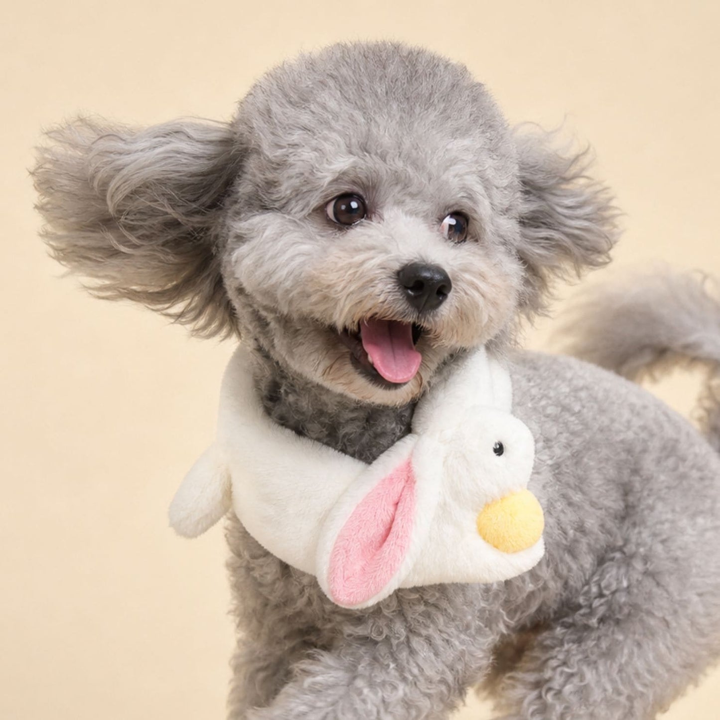 Bunny Meets Moon - Pet Bib