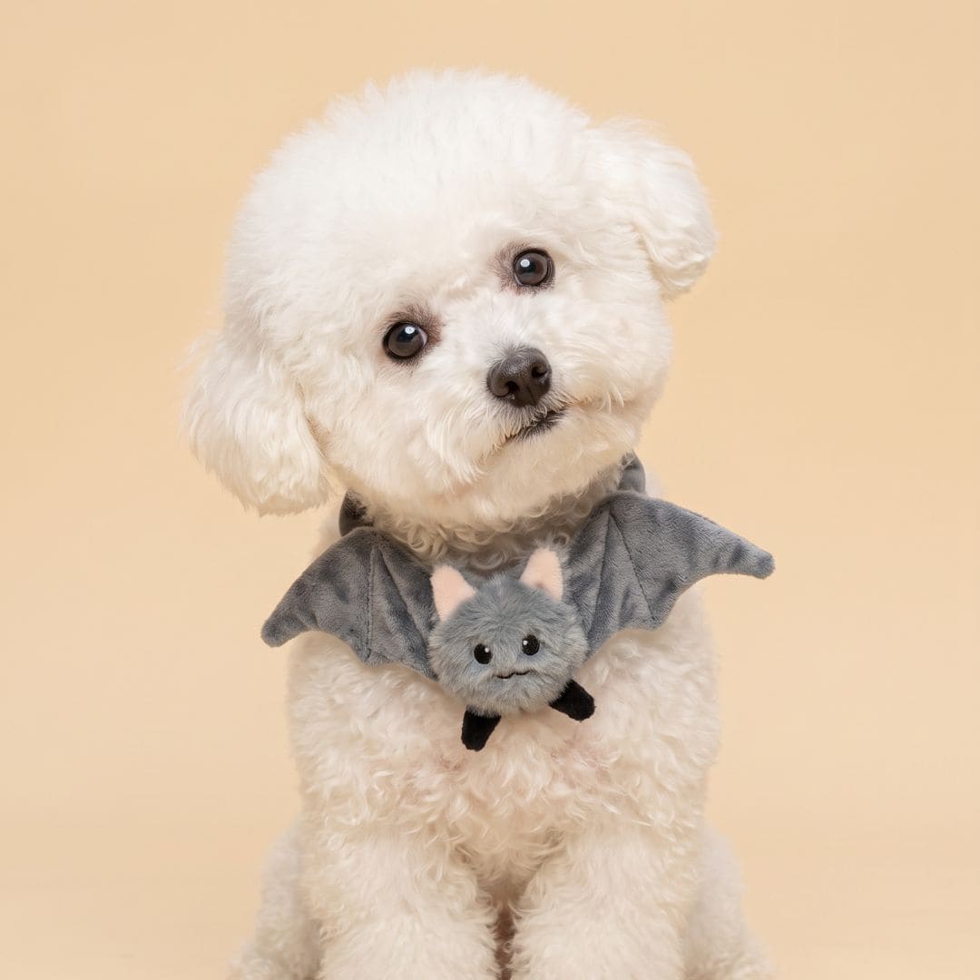 The Cute Bat - Pet Bib
