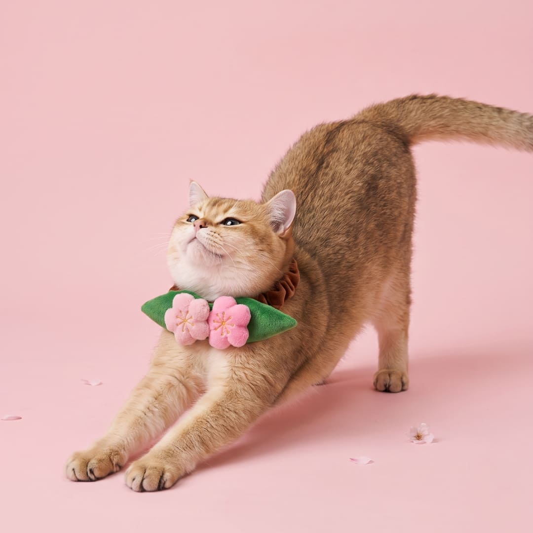 Sakura - Pet Bib