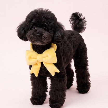 The Bow (Yellow) - Pet Bib