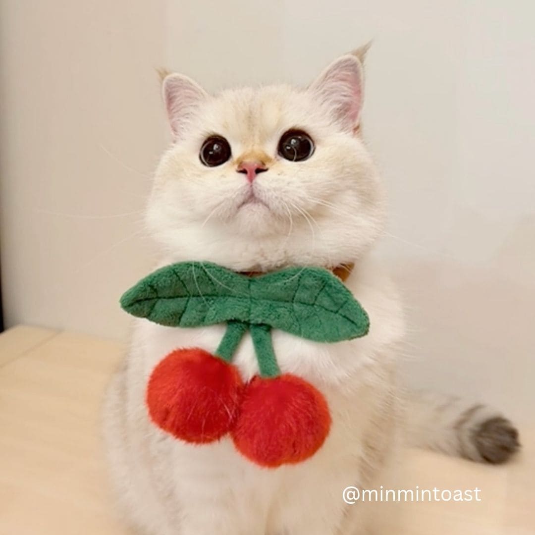 Cherry - Pet Bib