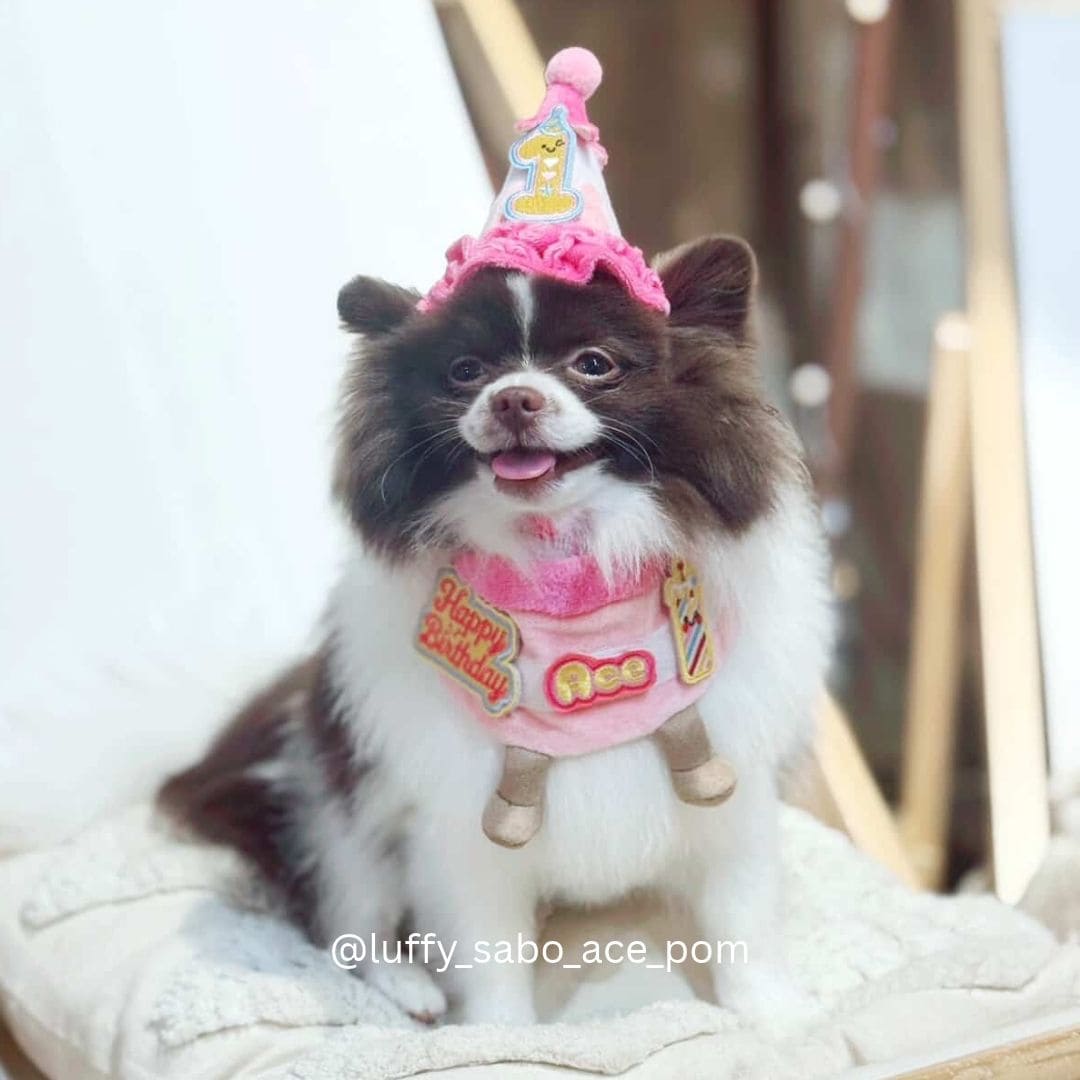 Birthday Cake Bib Set (Pink)