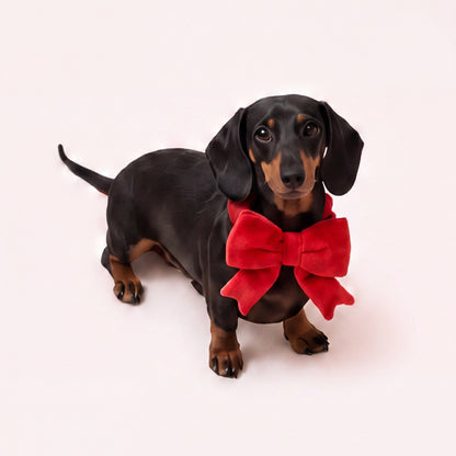 The Bow (Red) - Pet Bib