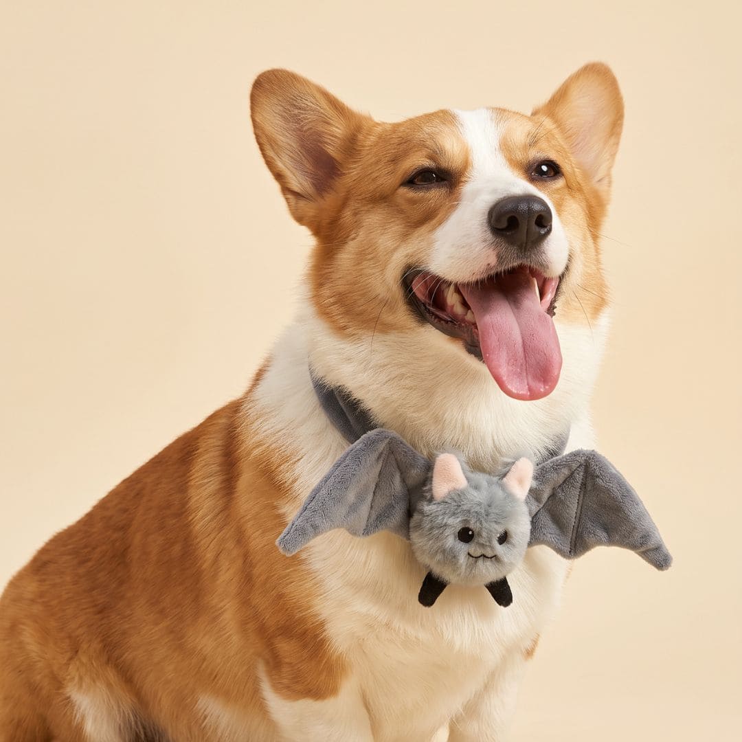 The Cute Bat - Pet Bib