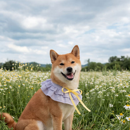 Summer Whisper (Lavender) - Pet Bib