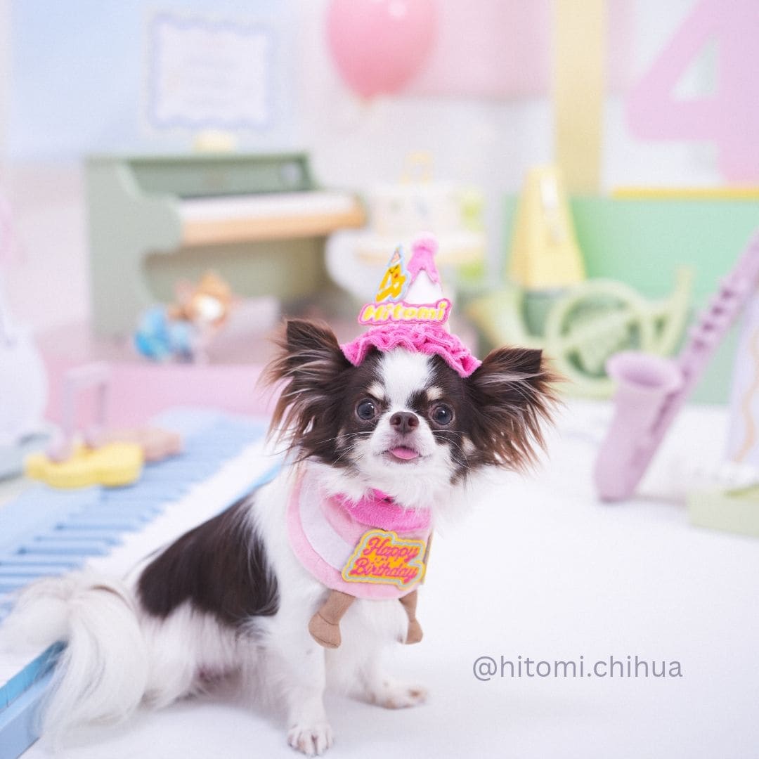 Birthday Cake Bib Set (Pink)