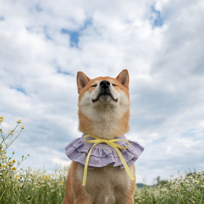 Summer Whisper (Lavender) - Pet Bib