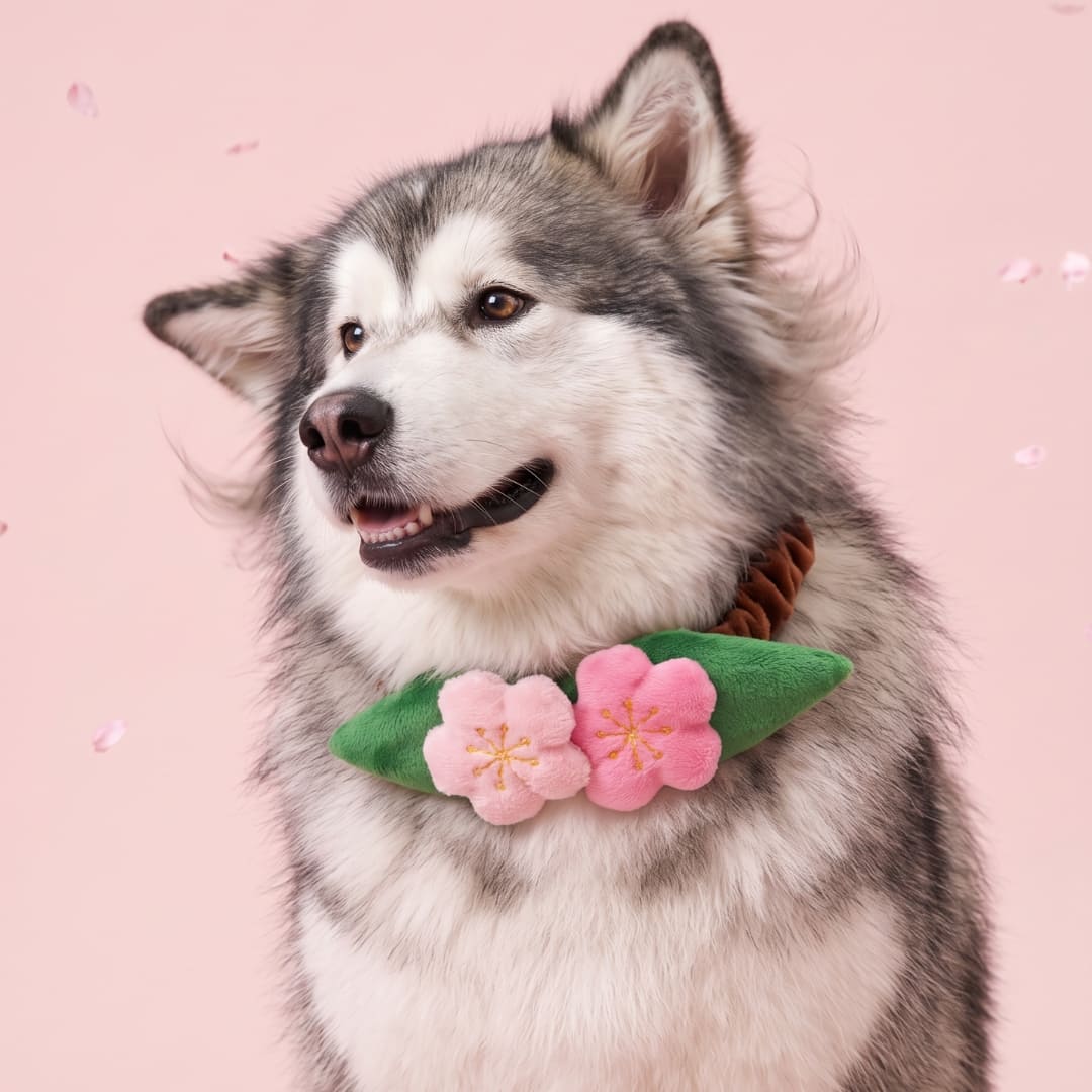 Sakura - Pet Bib
