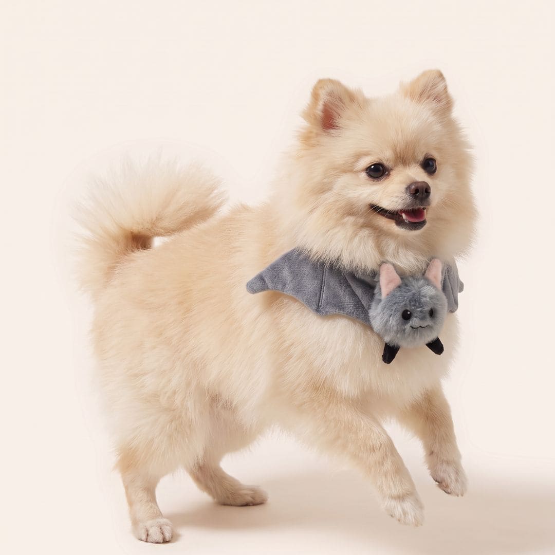 The Cute Bat - Pet Bib