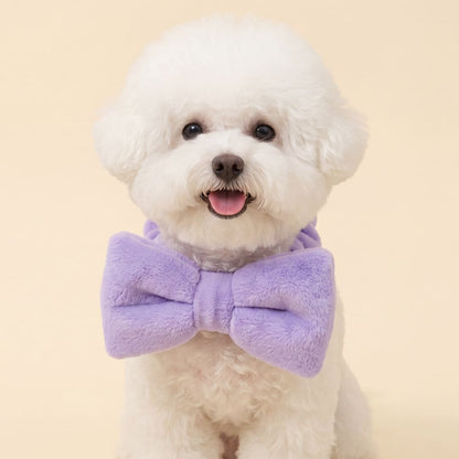 The Bow Tie (Lavender) - Pet Bib