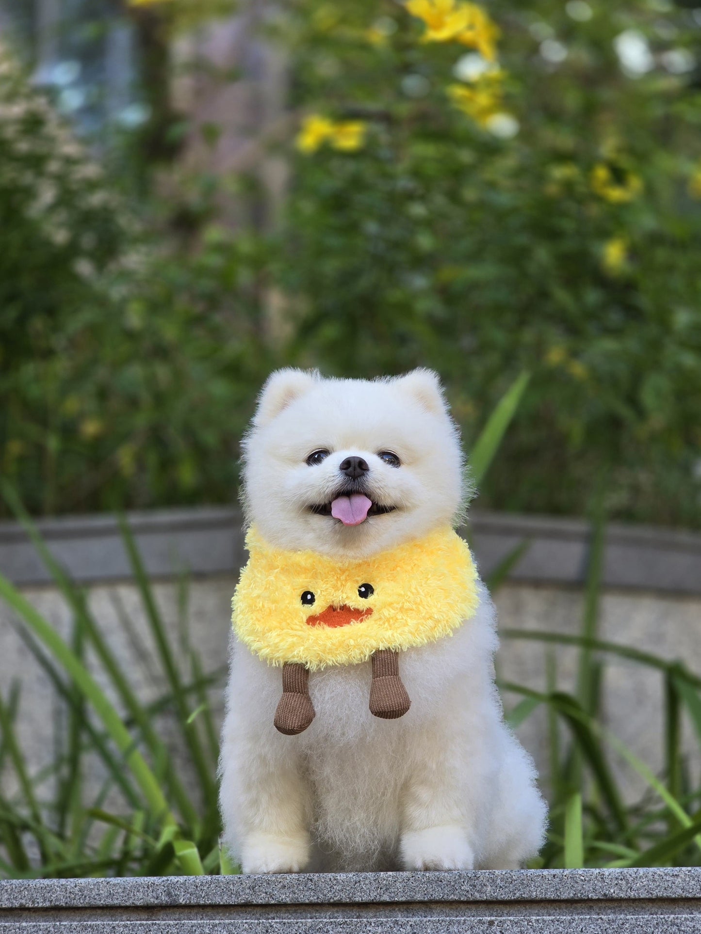Yellow Duck - Pet Bandana