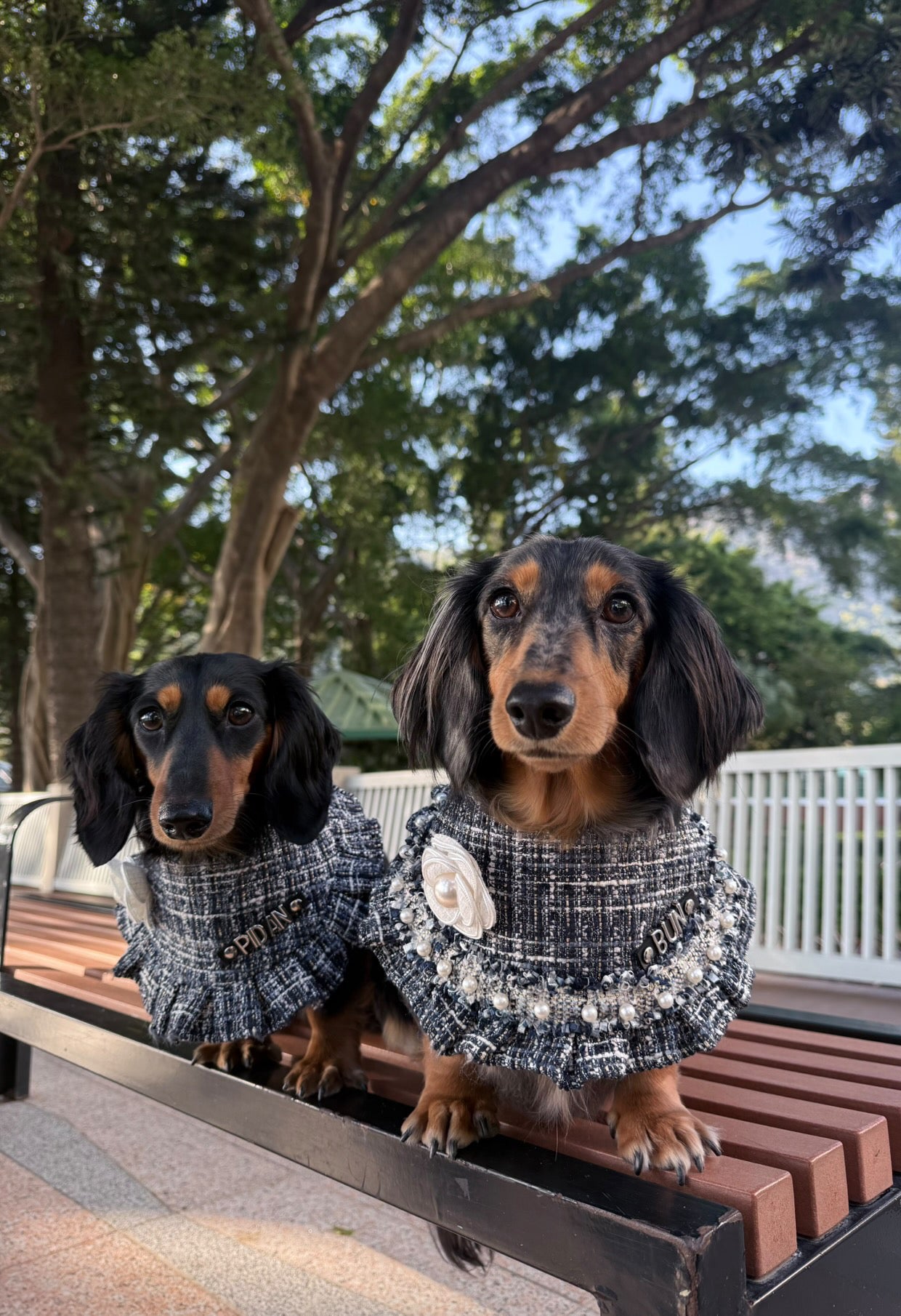 Custom Pet Bandana - Elegance In Blue