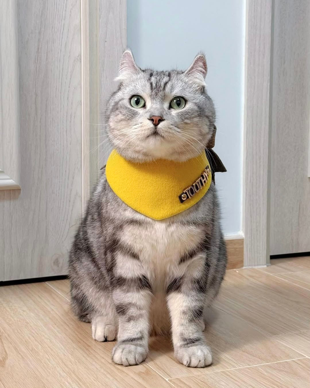 Custom Pet Bandana - Lemon Zest