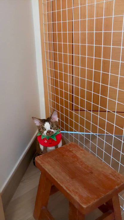 Tomato - Pet Bandana