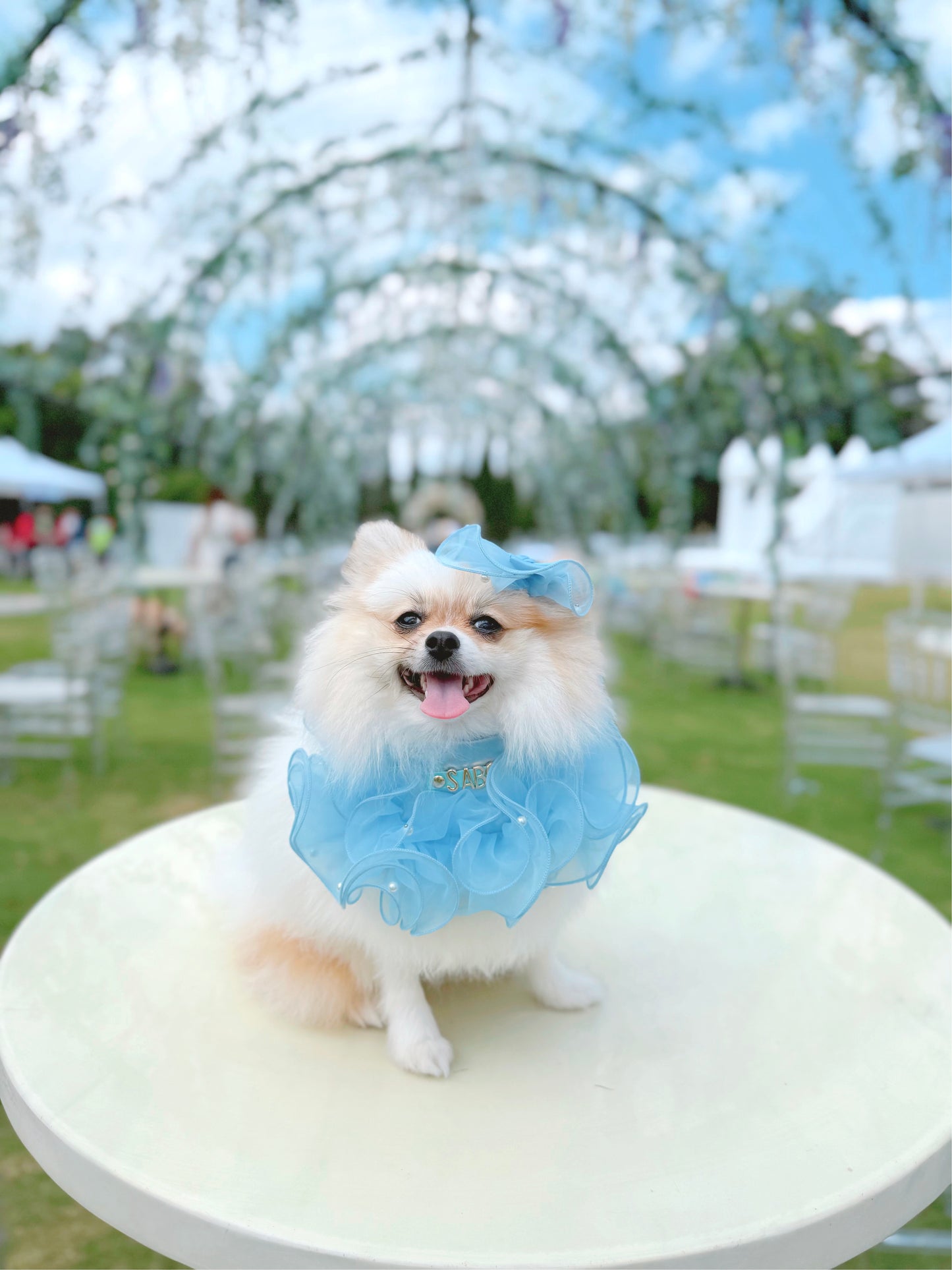 Royal Satin Bloom Blue - Custom Pet Bandana
