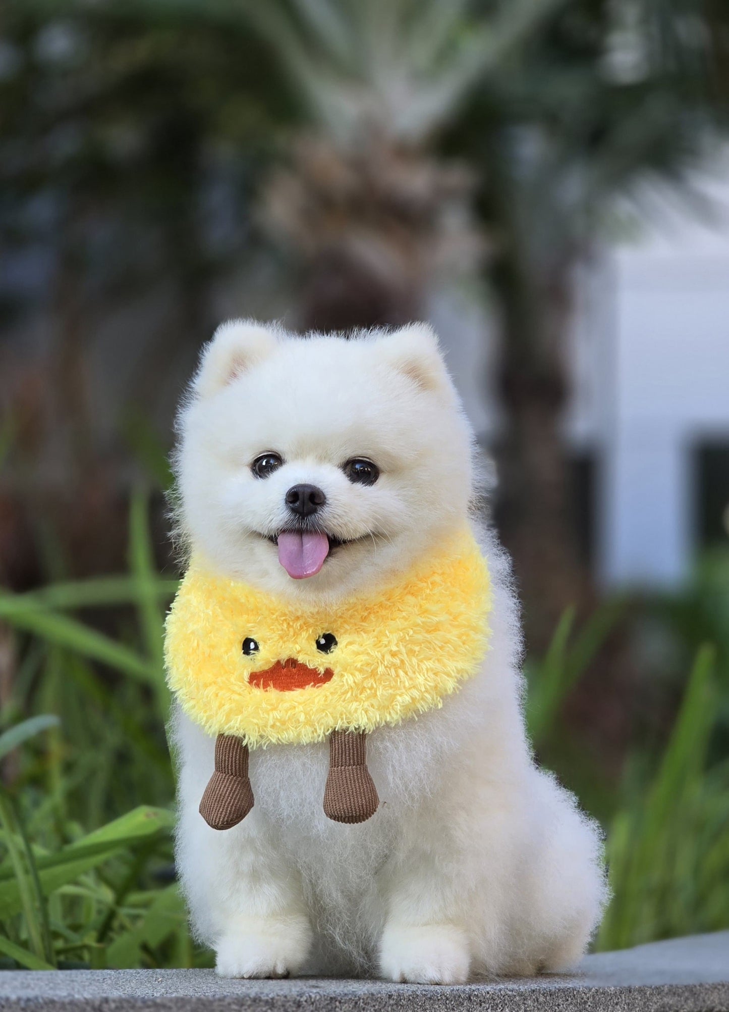 Yellow Duck - Pet Bandana