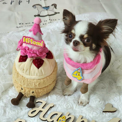 Birthday Cake Bib Set (Pink)