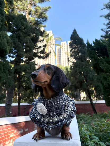 Custom Pet Bandana - Elegance In Blue