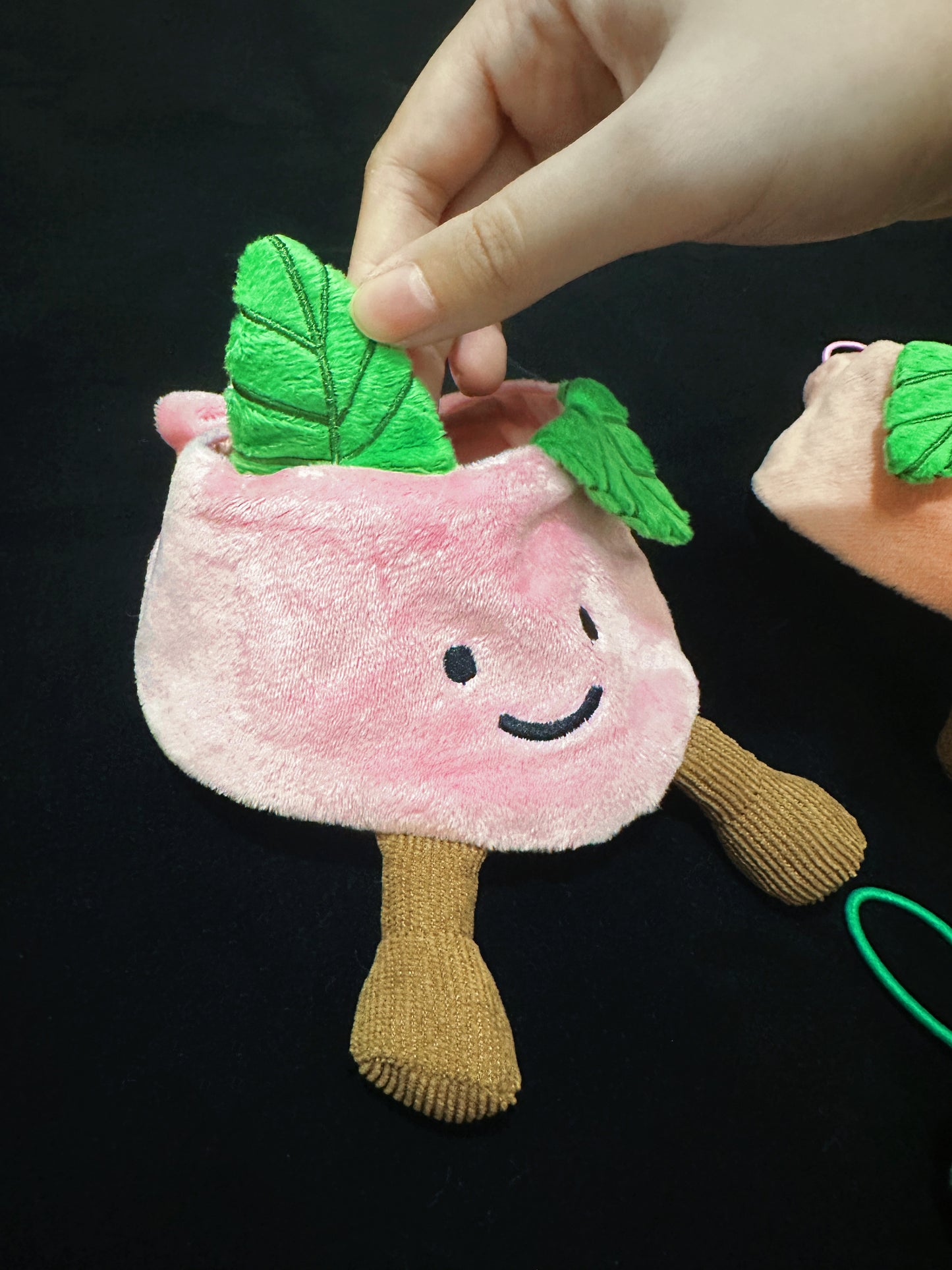 Peach (Pink) - Pet Bandana