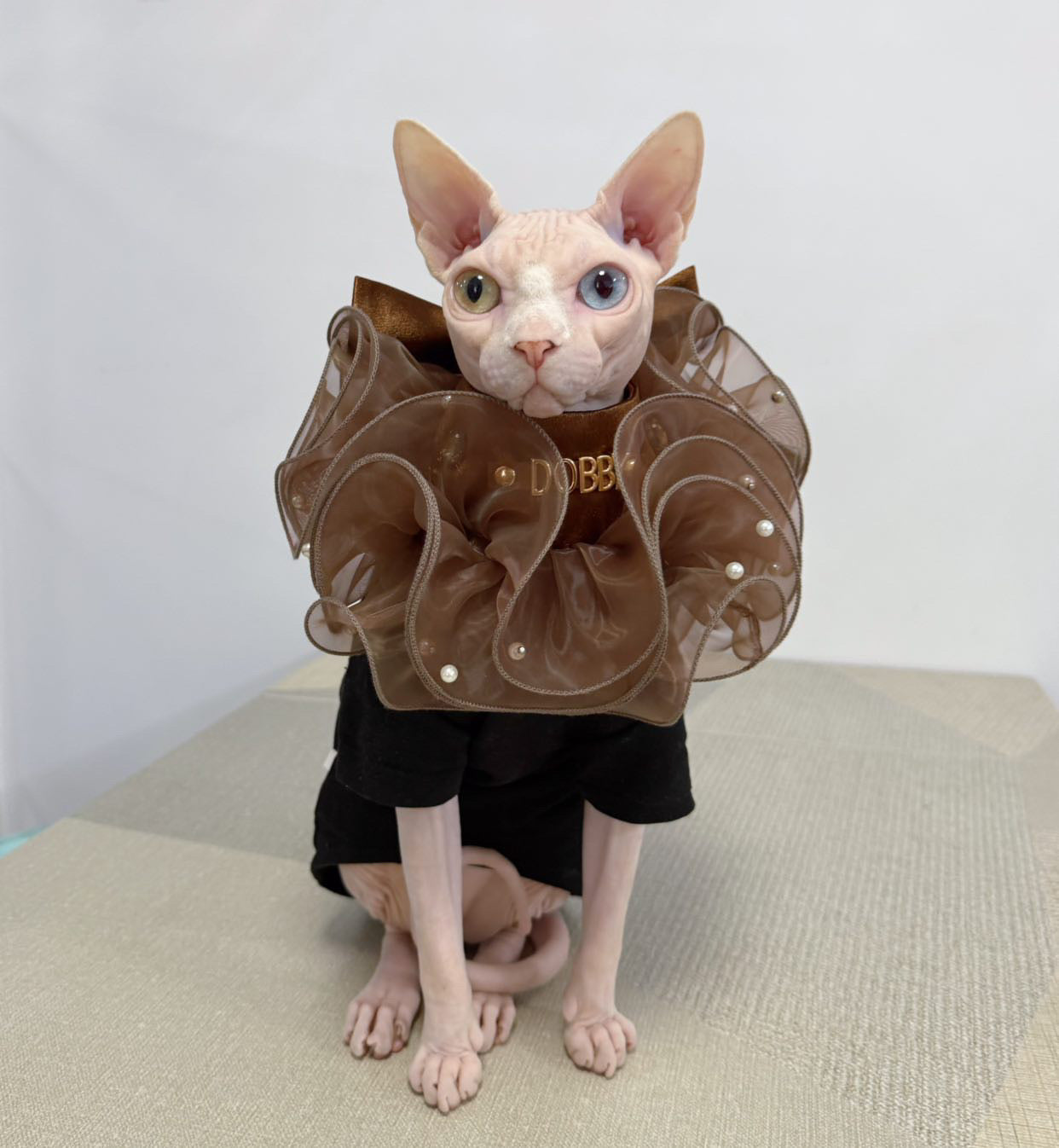 Royal Satin Bloom Chocolate - Custom Pet Bandana