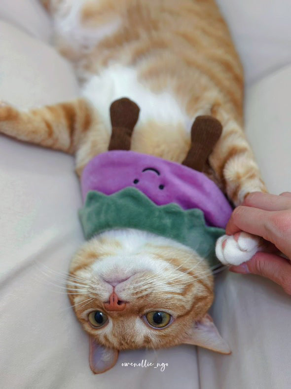 Eggplant - Pet Bandana