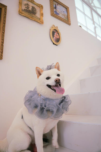 Royal Satin Bloom Grey - Custom Pet Bandana