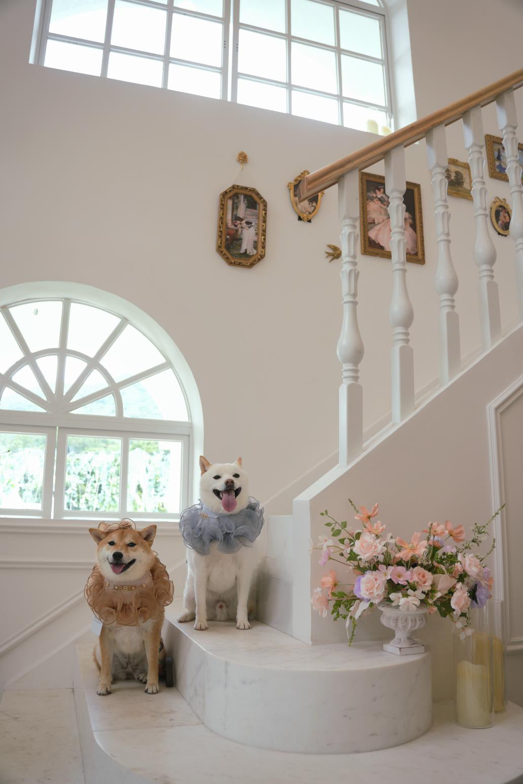 Royal Satin Bloom Champagne - Custom Pet Bandana