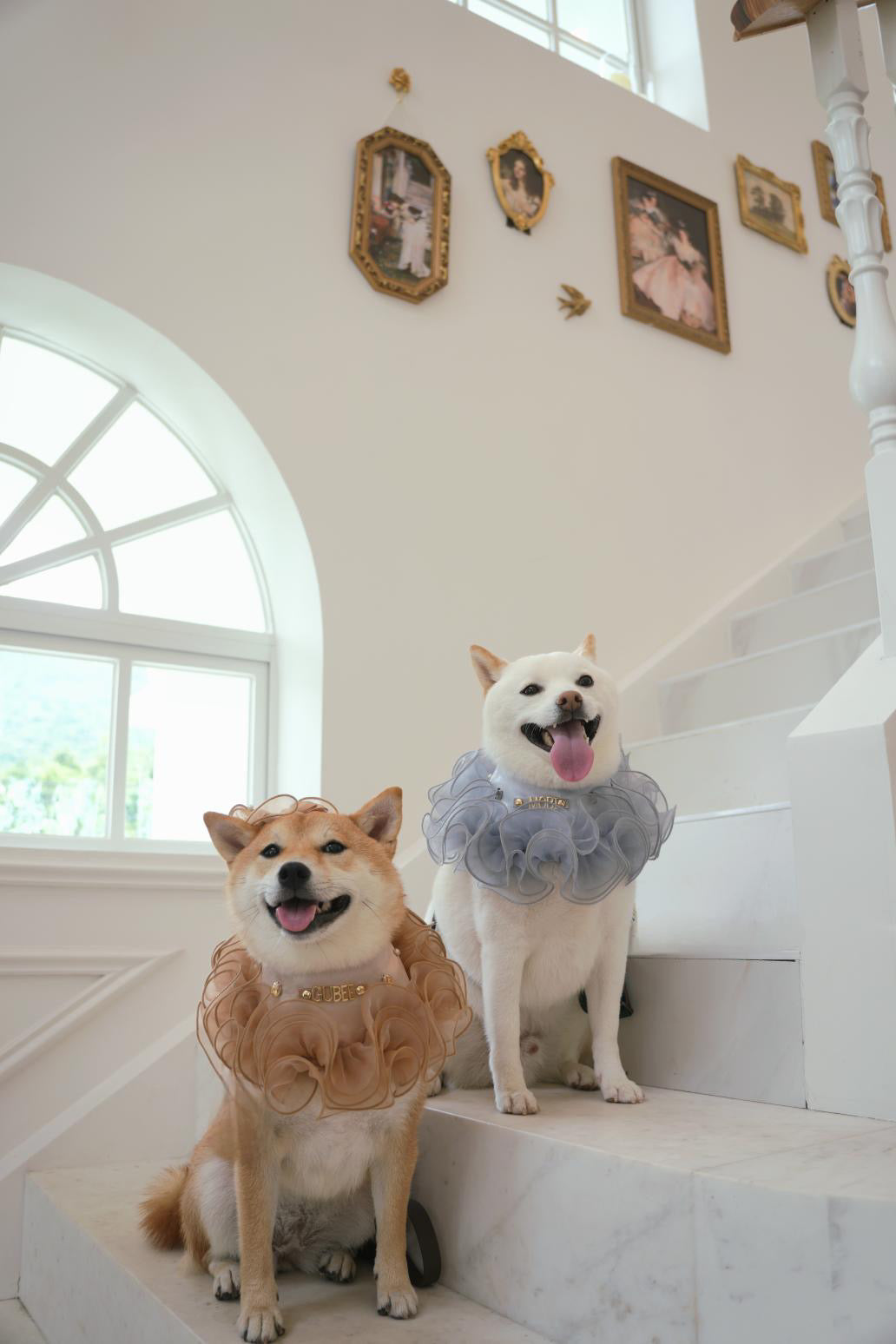 Royal Satin Bloom Grey - Custom Pet Bandana