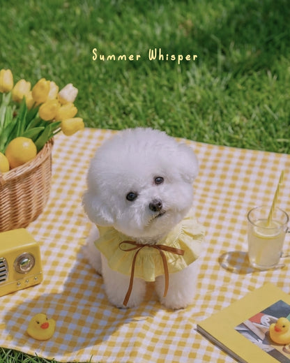 Summer Whisper (Honey) - Pet Bib