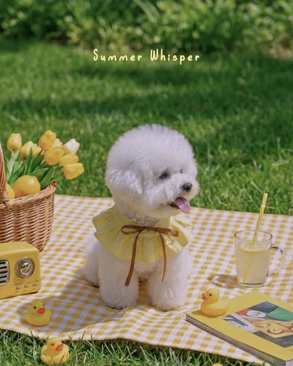 Summer Whisper (Honey) - Pet Bib