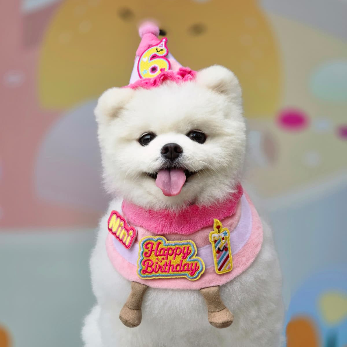 Birthday Cake Bib Set (Pink)