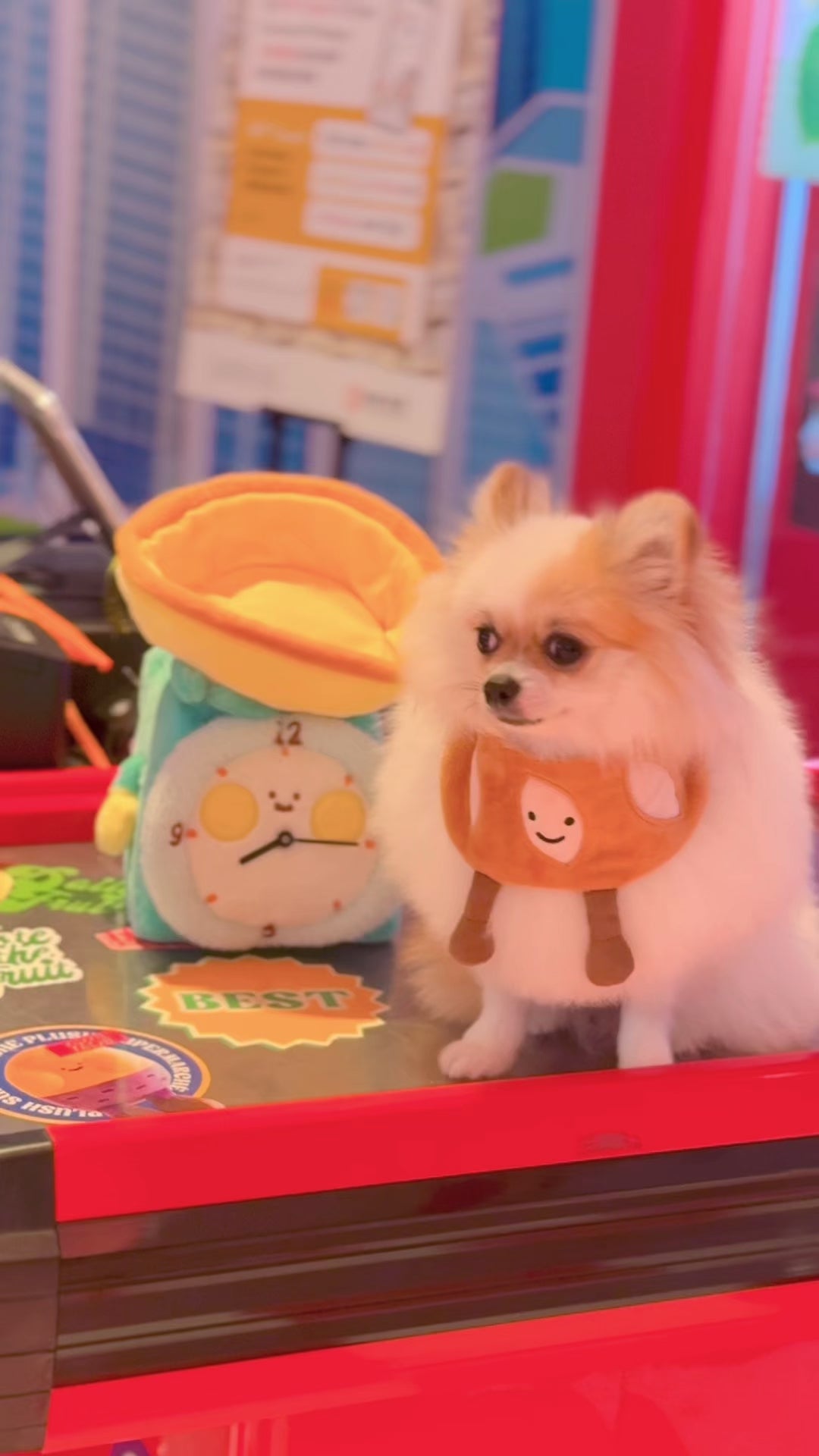 Baguette - Pet Bib